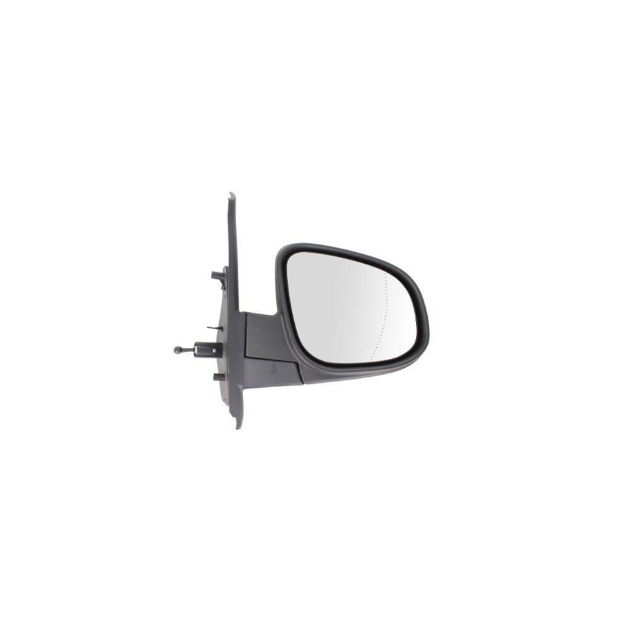 Blic 5402-02-2001748P Wing Mirror