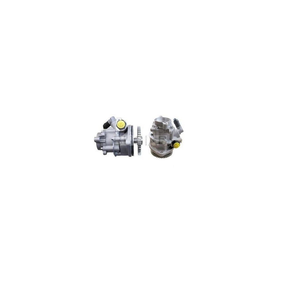 BUGIAD Bsp23278 Power Steering Pump for VW Lt