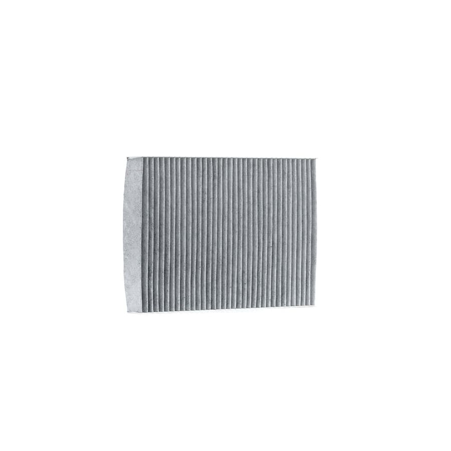 Delphi Tsp0325321C Pollen Filter