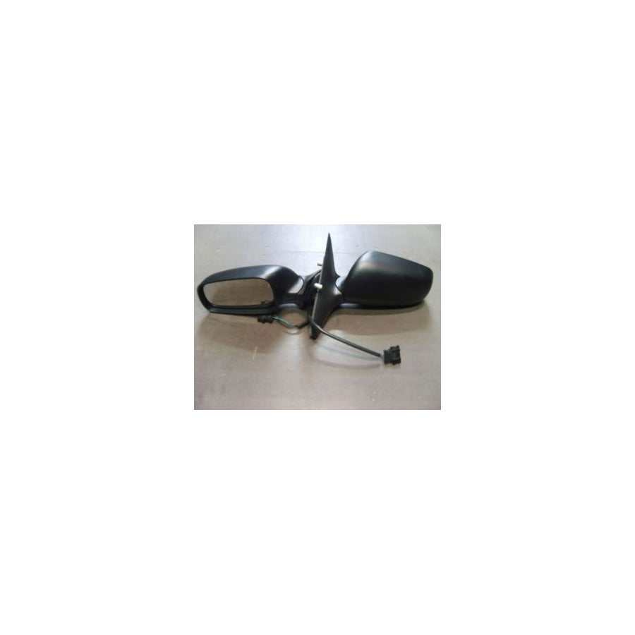 BUGIAD Bsp20136 Wing Mirror