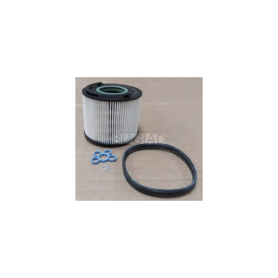 BUGIAD Bsp23263 Oil Filter