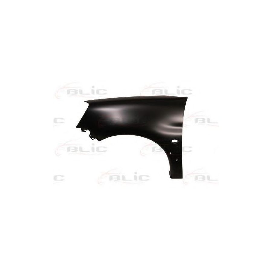 Blic 6504-04-0551317P Wing Fender