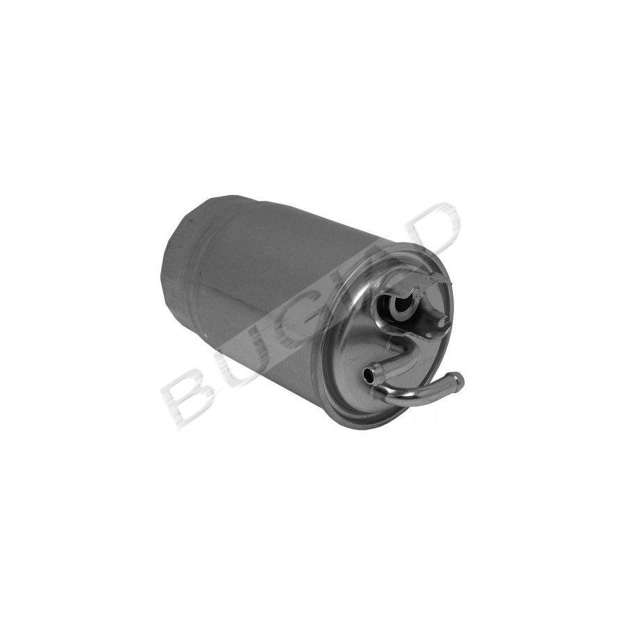 BUGIAD Bsp21538 Fuel Filter
