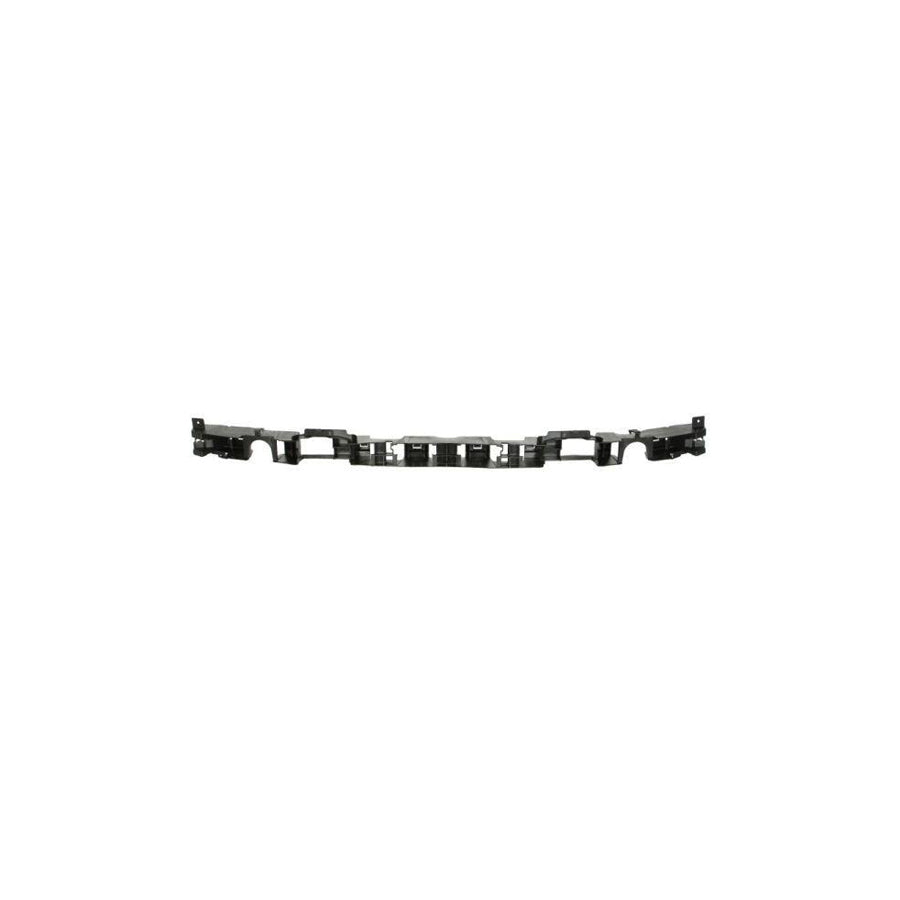 Blic 5502-00-6046942P Bumper Reinforcement For Renault Scénic III (Jz0/1_)