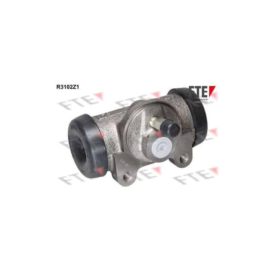 FTE R3102Z1 Wheel Brake Cylinder