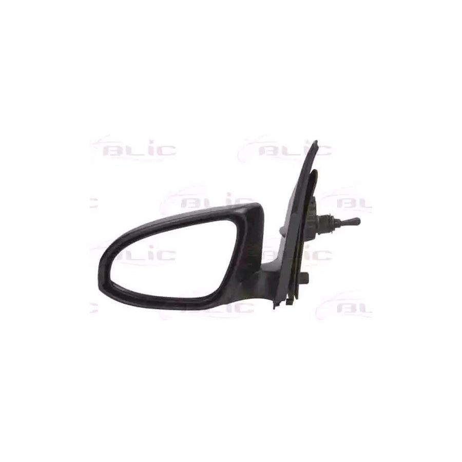 Blic 5402-21-045363P Wing Mirror