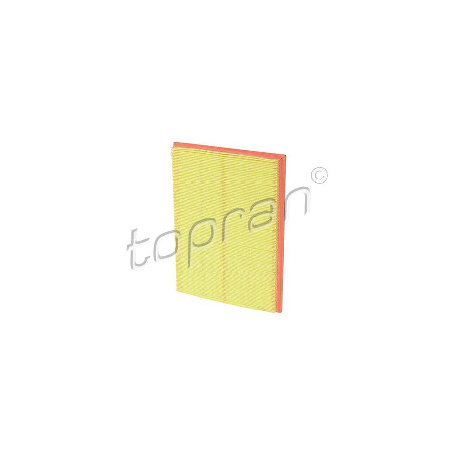 Topran 201 658 Air Filter