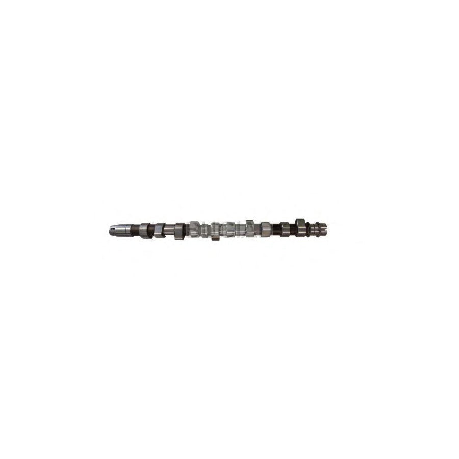 BUGIAD Bsp23344 Camshaft