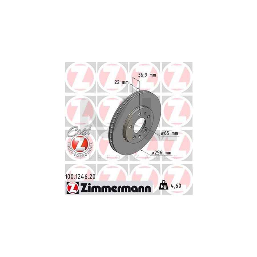 ZIMMERMANN COAT Z 100.1246.20 Brake Disc for AUDI A2 (8Z0) Externally Vented, Coated, High-carbon - 1 piece