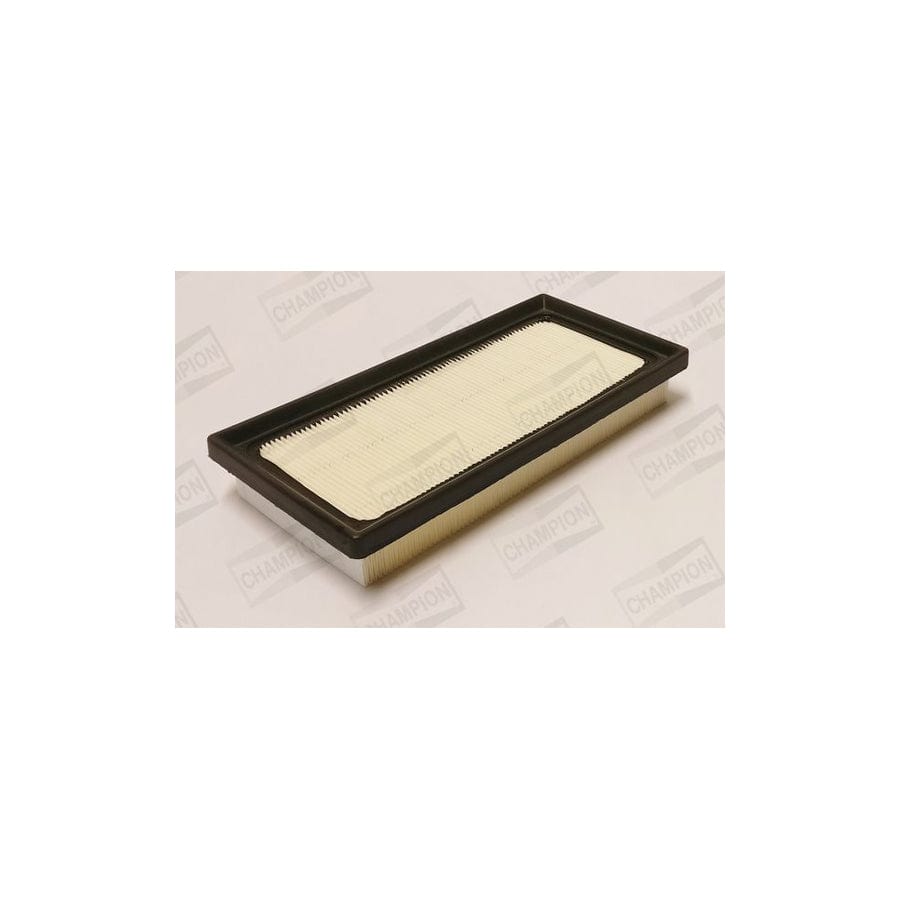 Champion CAF101386P Air Filter