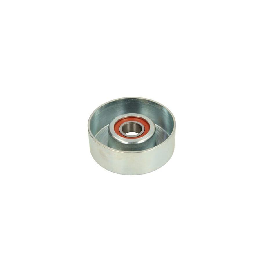 BTA E25020BTA Tensioner Lever, V-Ribbed Belt