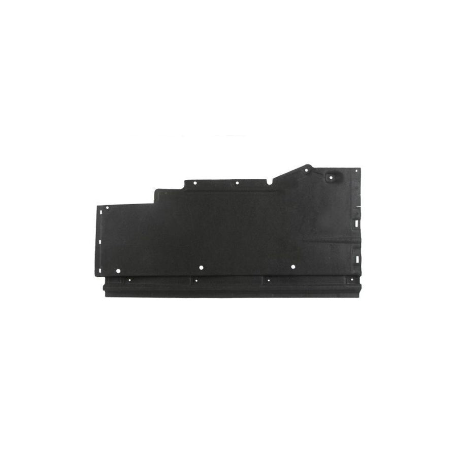 Blic 6601-02-0029982P Engine Cover