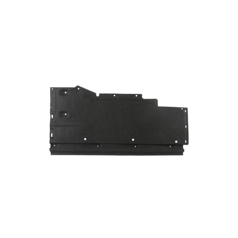 Blic 6601-02-0029981P Engine Cover