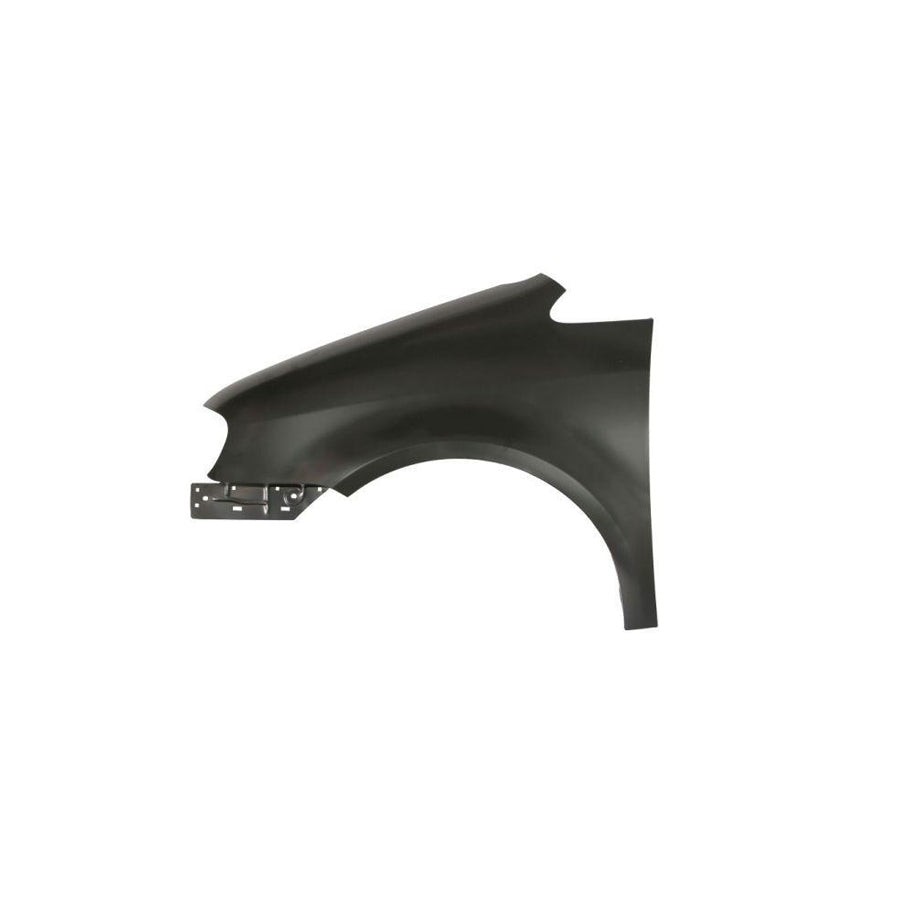 Blic 6504-04-9545311P Wing Fender For VW Touran I (1T1, 1T2)