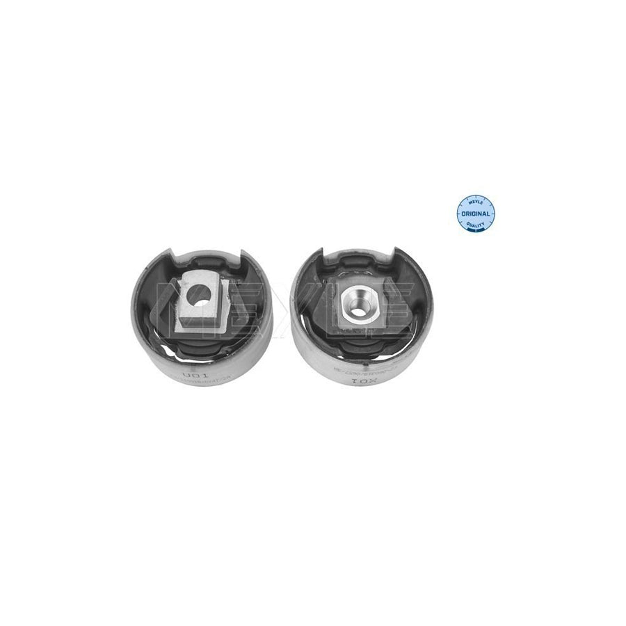 Meyle 100 199 1022 Engine Mount