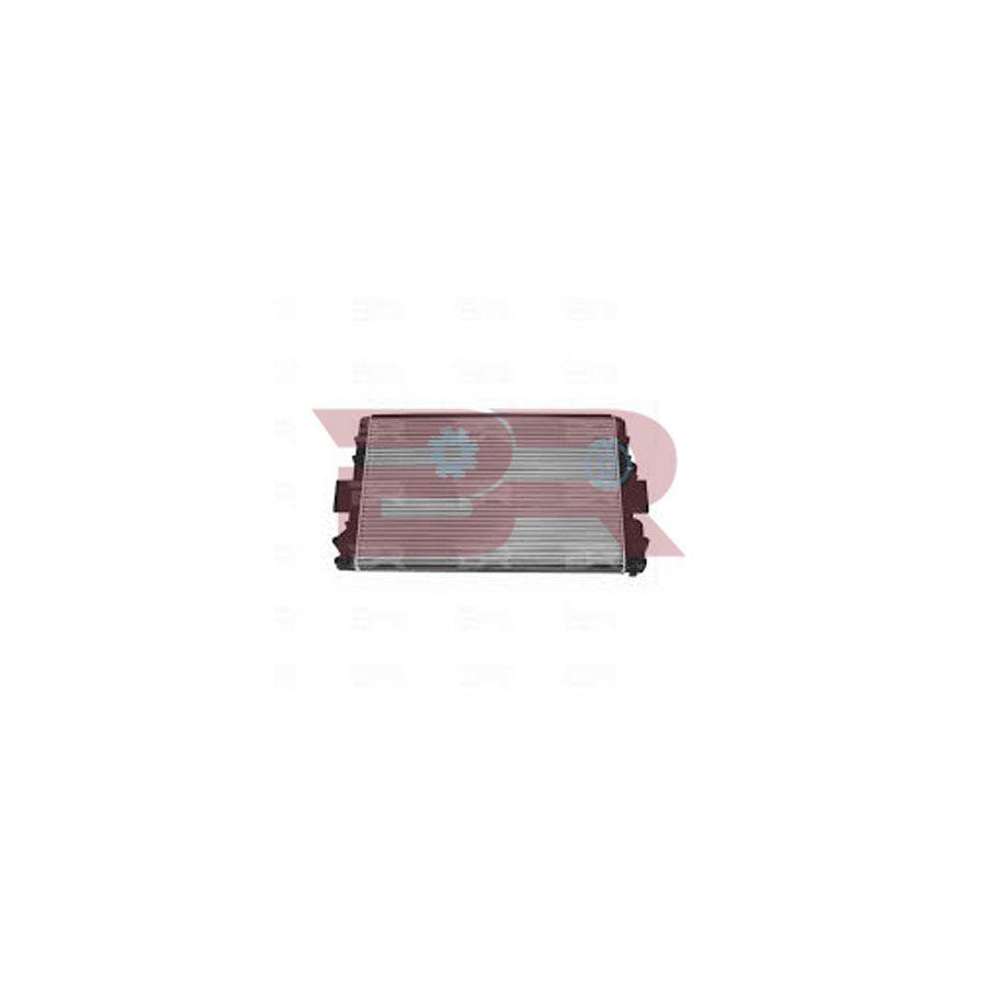 Botto Ricambi Brac2996 Engine Radiator for Iveco Daily