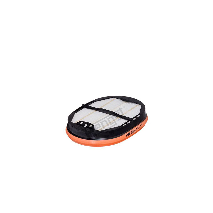 Hengst Filter E2001LS Secondary Air Filter