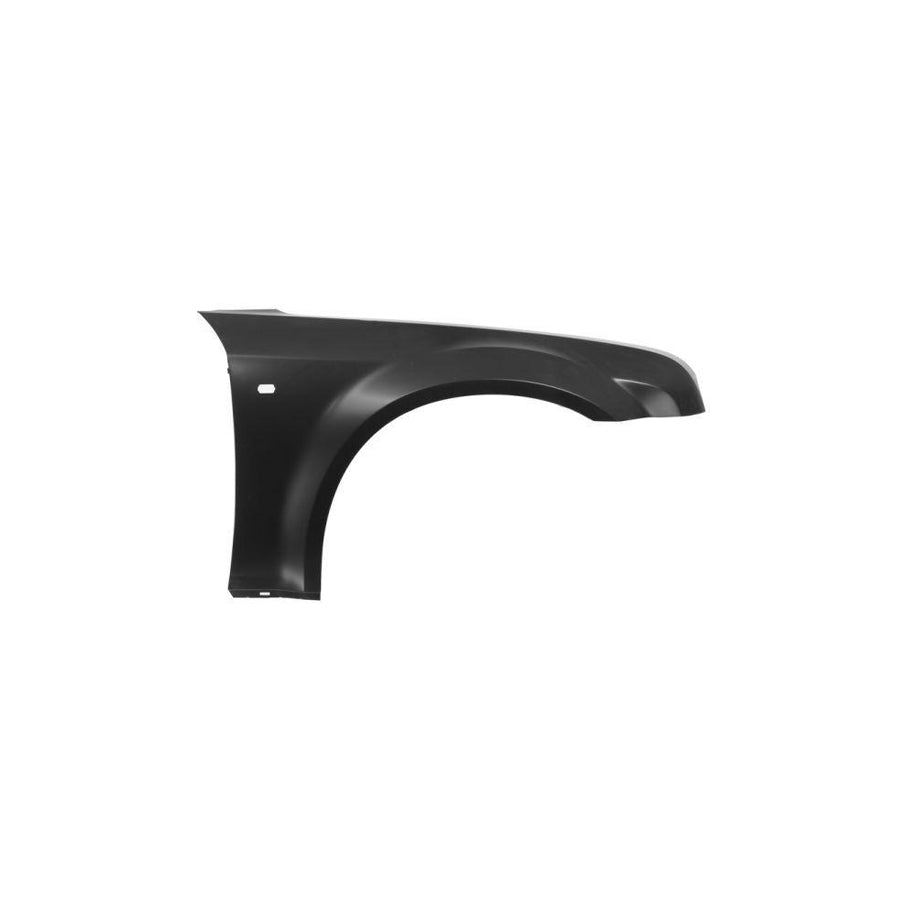Blic 6504-04-0938314P Wing Fender For Chrysler 300