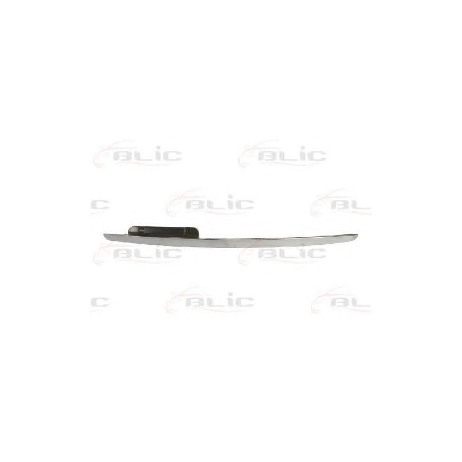 Blic 6502-07-3506992P Trim / Protective Strip, Radiator Grille Suitable For Mercedes-Benz A-Class (W169)