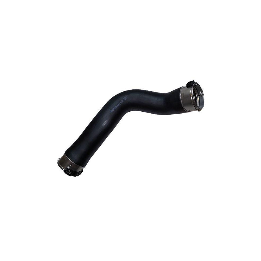 BUGIAD 81734 Charger Intake Hose for BMW 5 Series