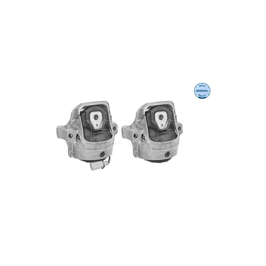 Meyle 100 199 1403/S Engine Mount