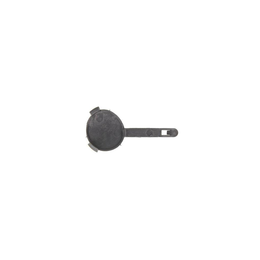 Blic 5513-00-6032925P Flap, Tow Hook