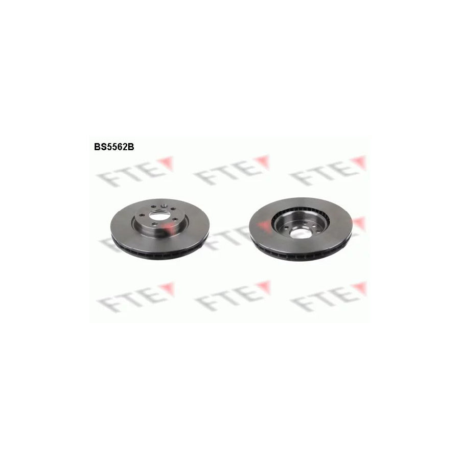 FTE 9081221 Brake Disc