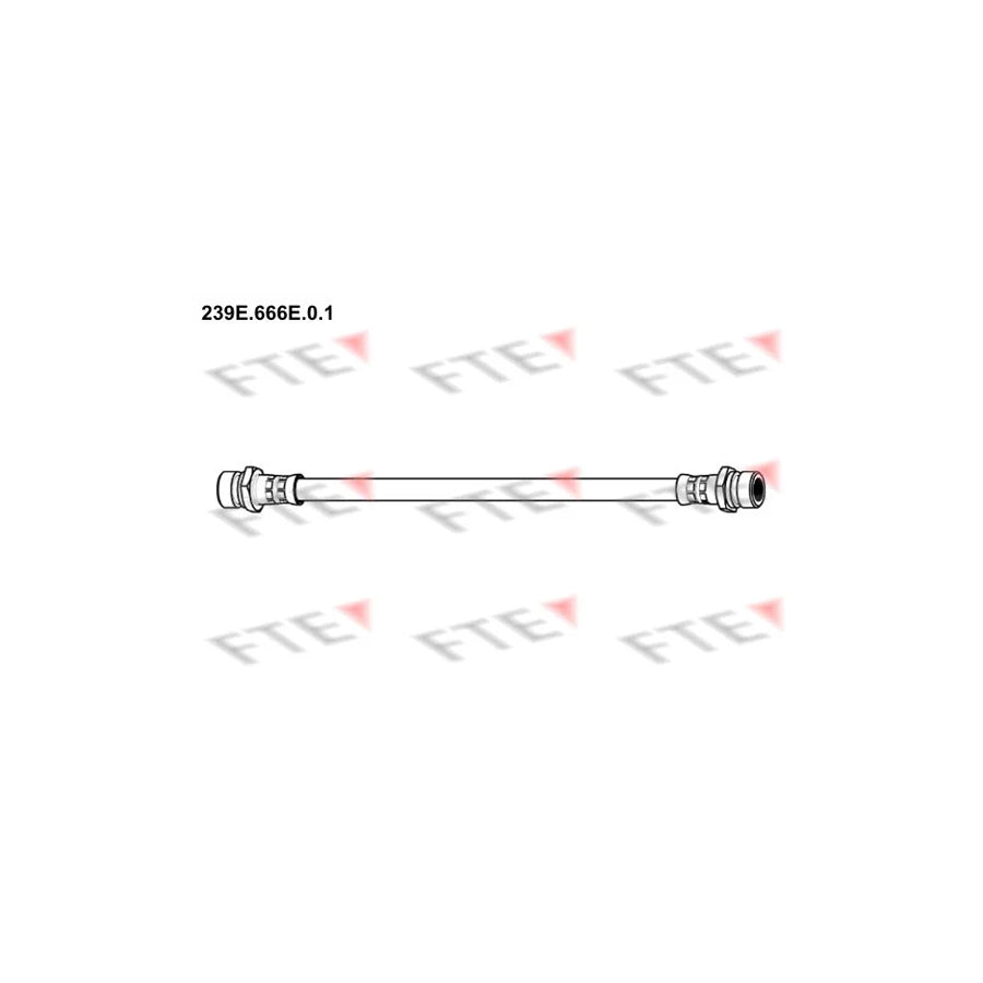 FTE 239E.666E.0.1 Brake Hose
