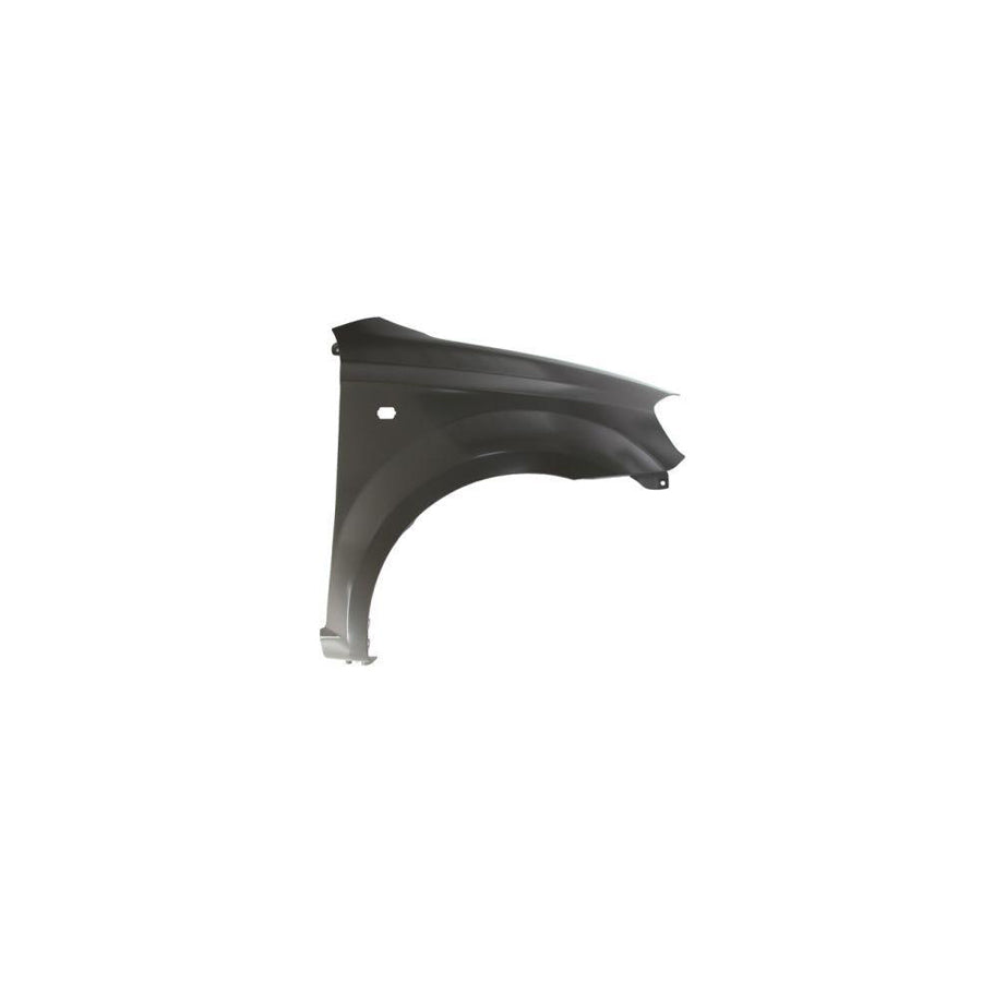 Blic 6504-04-1135312P Wing Fender