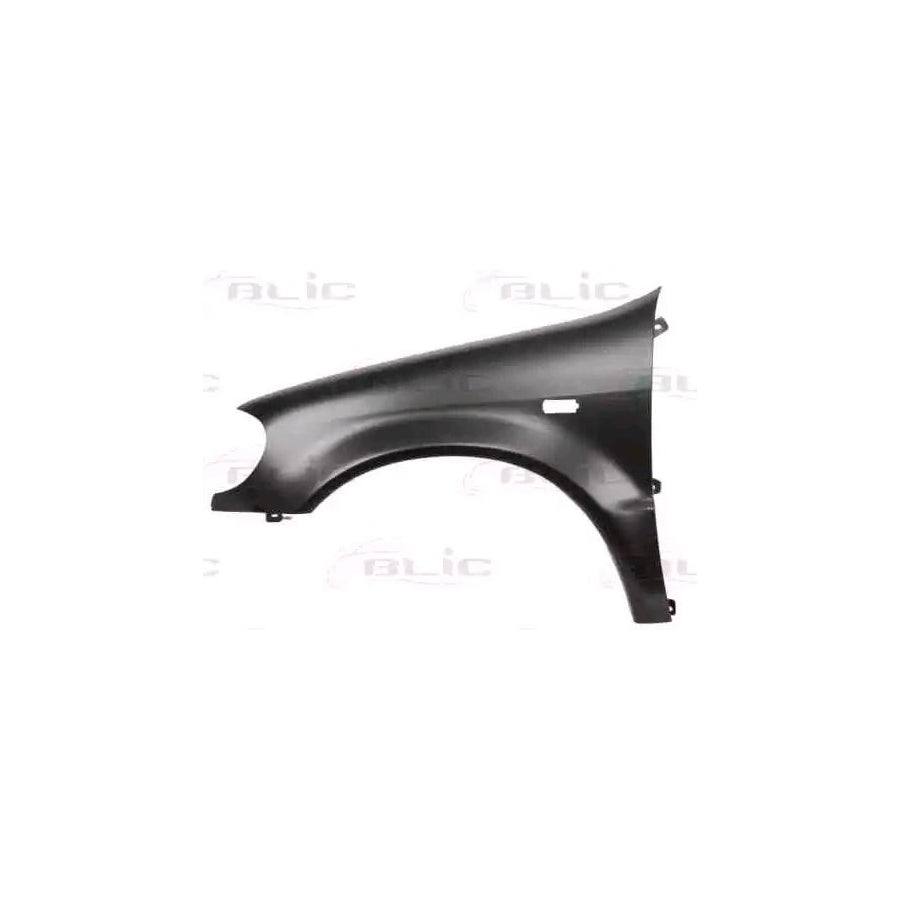 Blic 6504-04-3560311P Wing Fender Suitable For Mercedes-Benz Ml-Class (W163)