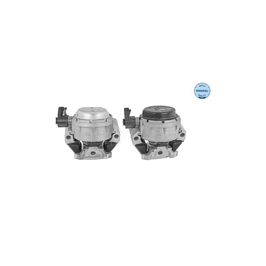 Meyle 100 199 3107/S Engine Mount