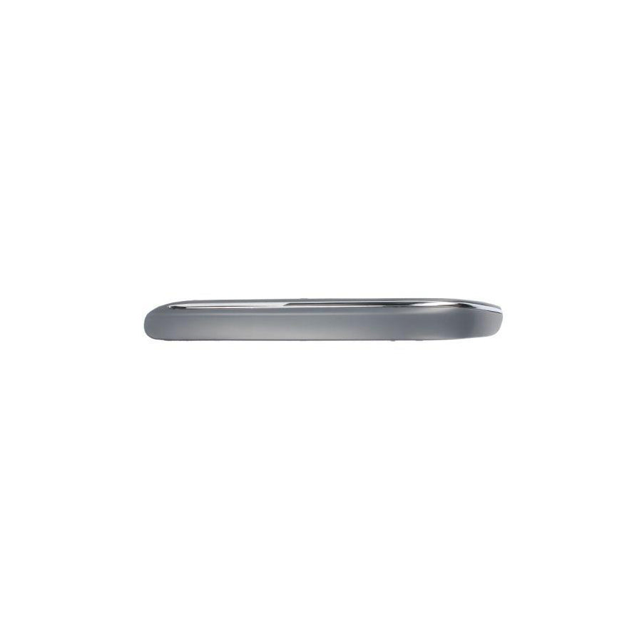 Blic 6502-07-3515927P Bumper Moulding Suitable For Mercedes-Benz C-Class