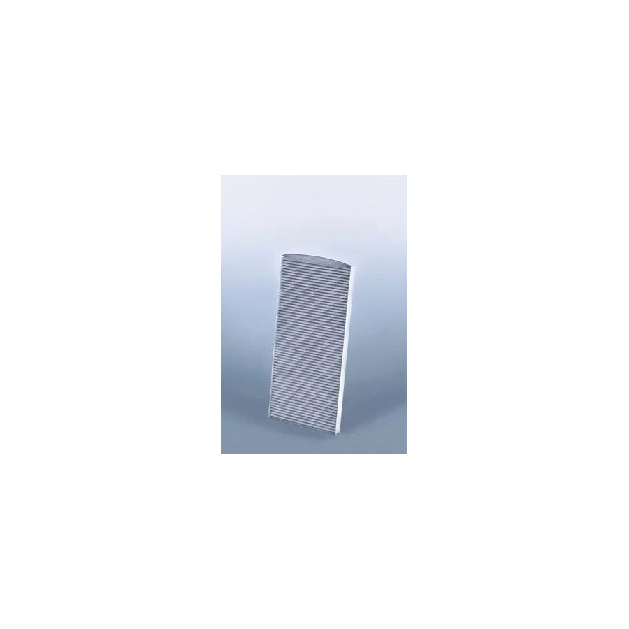 Fleetguard Af55714 Pollen Filter