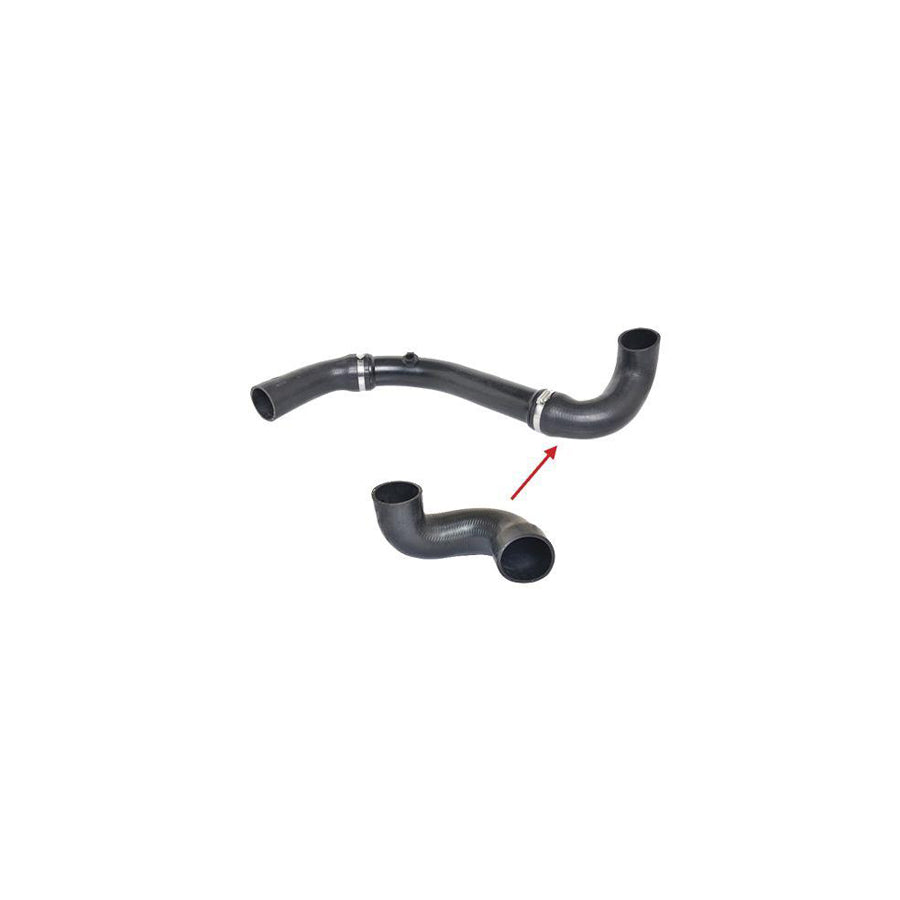 Bugiad 88592 Charger Intake Hose Suitable For Mercedes-Benz E-Class