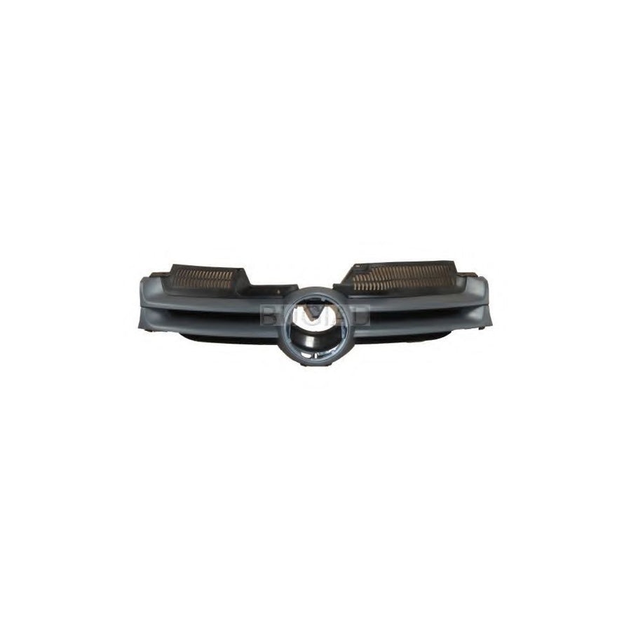 BUGIAD Bsp23495 Radiator Grille for VW Golf V Hatchback (1K1)