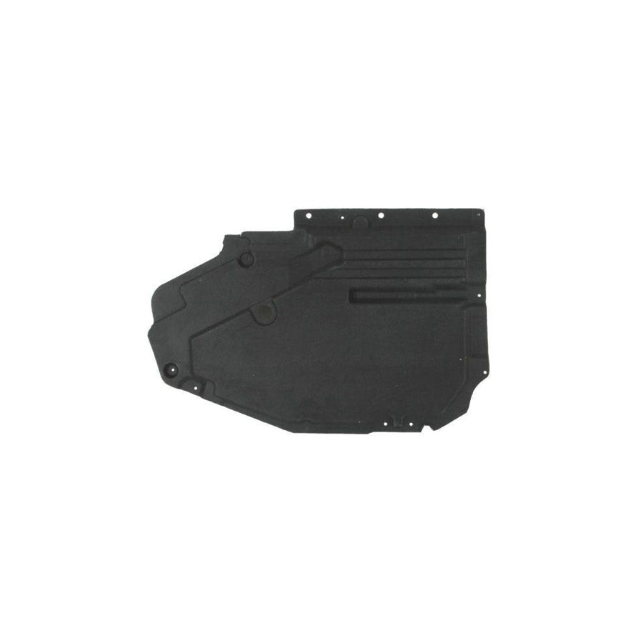 Blic 6601-02-0096984P Engine Cover