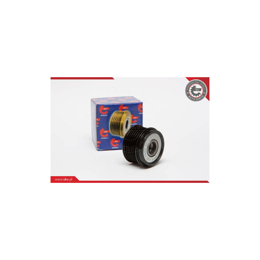 Esen Skv 11SKV041 Alternator Freewheel Clutch
