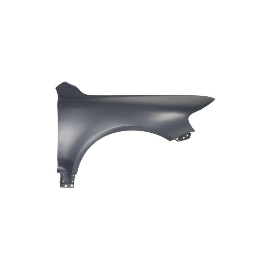 Blic 6504-04-9585312P Wing Fender For VW Touareg I (7La, 7L6, 7L7)