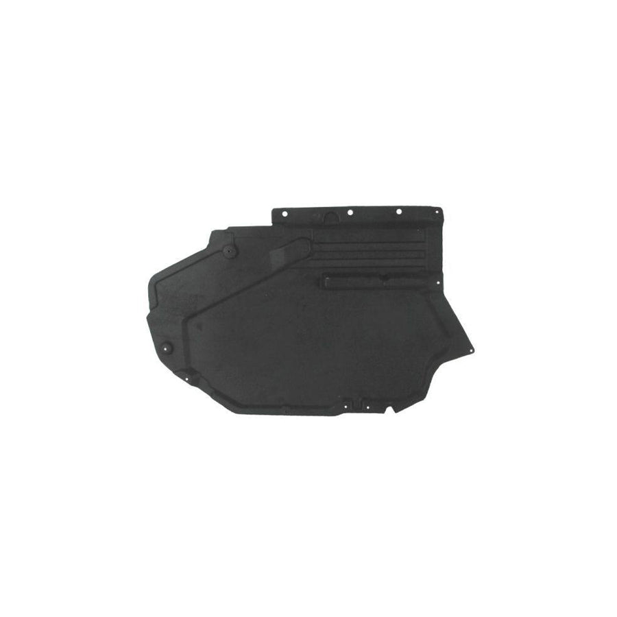 Blic 6601-02-0096983P Engine Cover