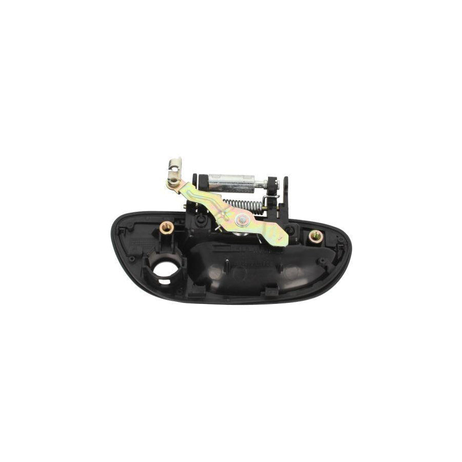 Blic 6010-17-015401P Door Handle