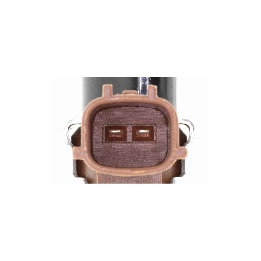 Ackoja A52-0296 Timing Belt Tensioner Pulley | ML Performance US