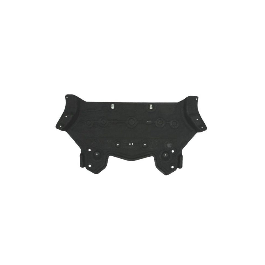 Blic 6601-02-0096870P Skid Plate