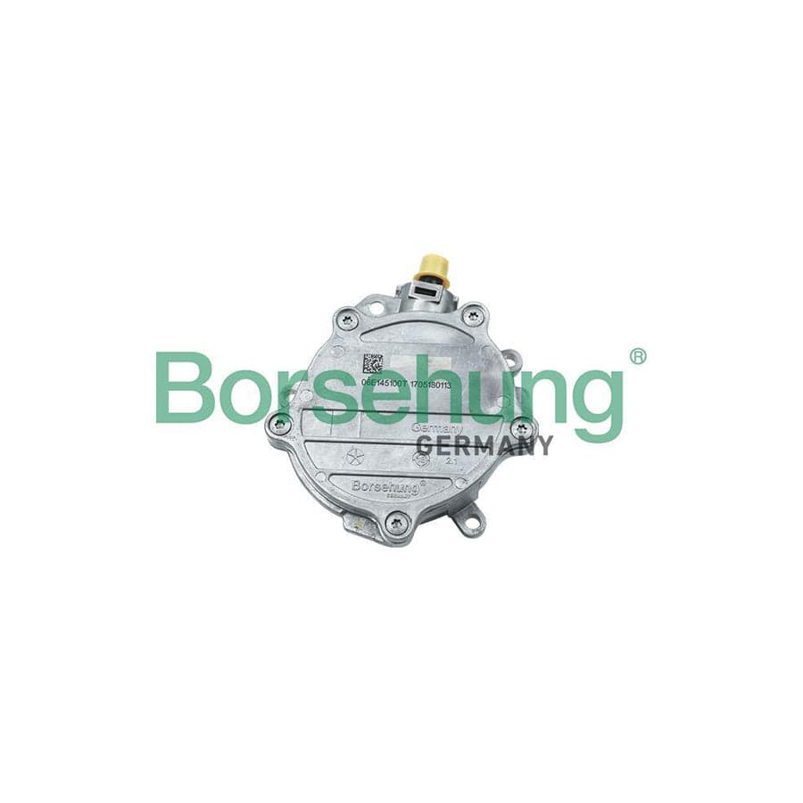 Borsehung B18772 Brake Vacuum Pump