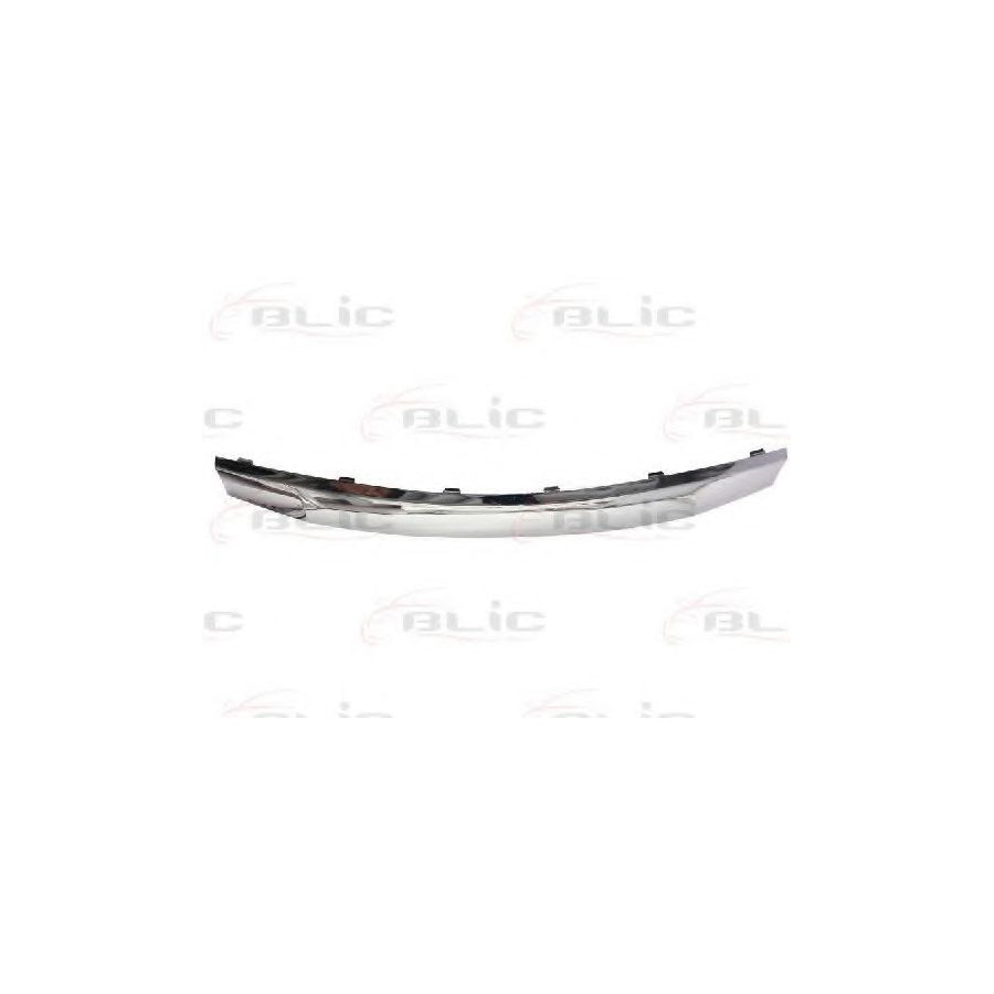 Blic 6502-07-1302991P Trim / Protective Strip, Radiator Grille For Dacia Sandero I (Sd)