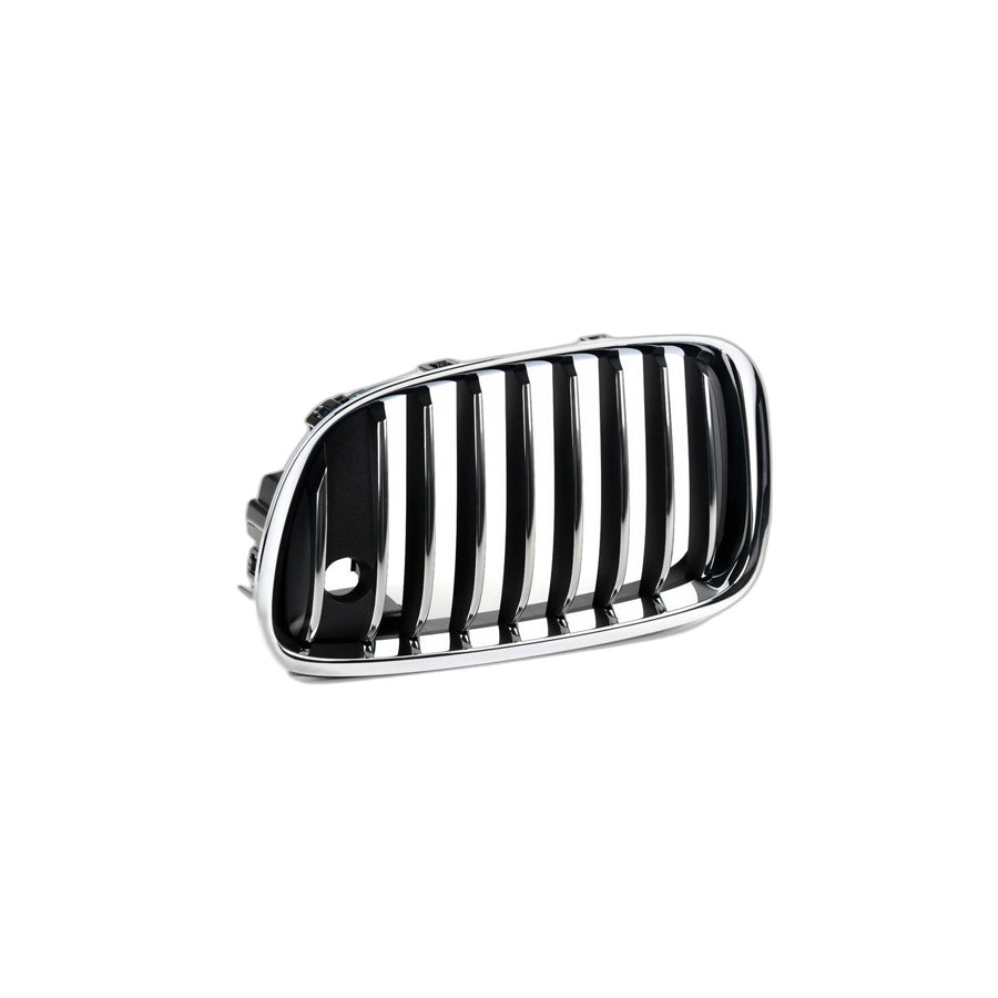 Genuine BMW 51137336483 F07 Grille, Front, Left NIVI (Inc. 550iX 4.0, 528i & 535d) | ML Performance US Car Parts