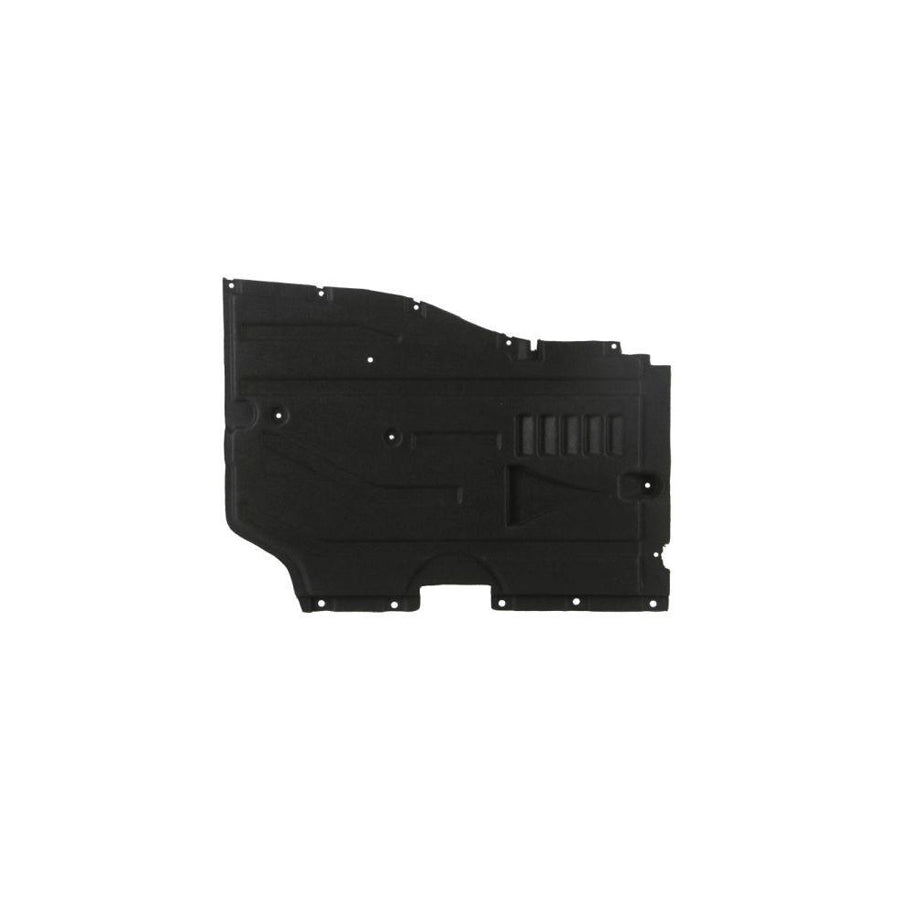 Blic 6601-02-0093981P Engine Cover For BMW X3 (F25)