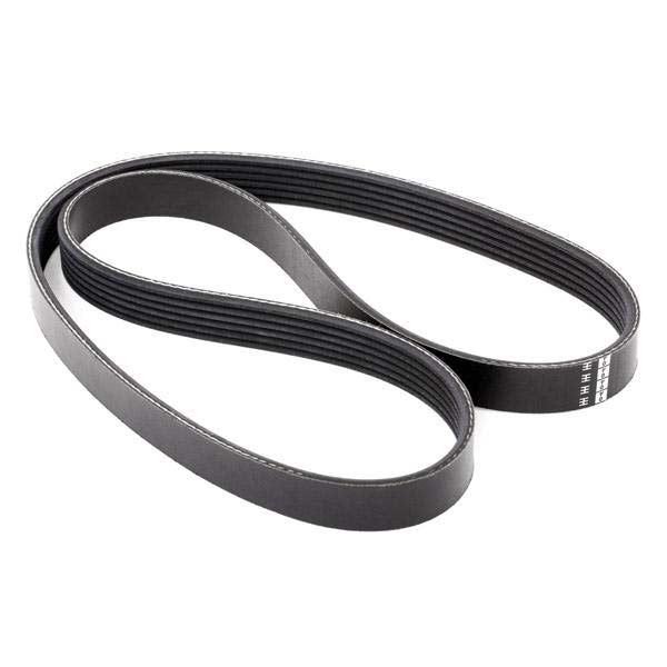 Febi Bilstein 28920 V-Ribbed Belt