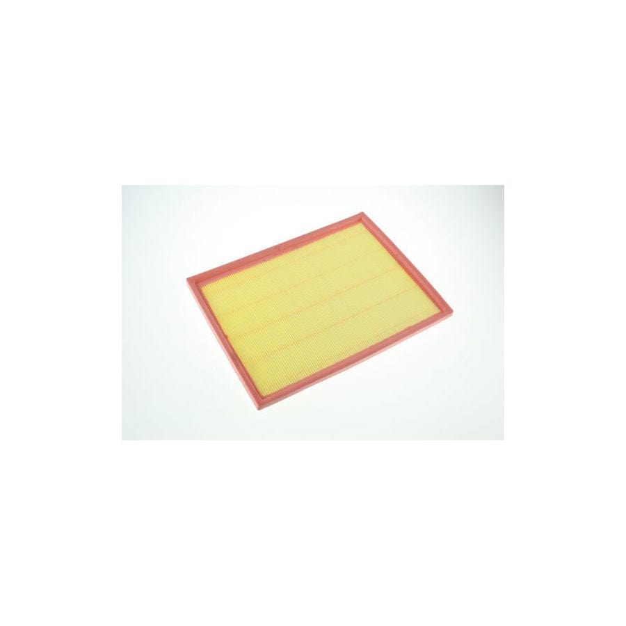 Automega 180022910 Air Filter