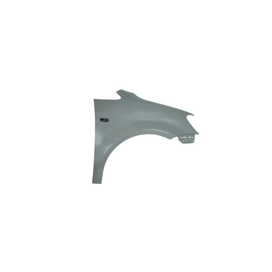 Blic 6504-04-9571314Q Wing Fender For VW Caddy