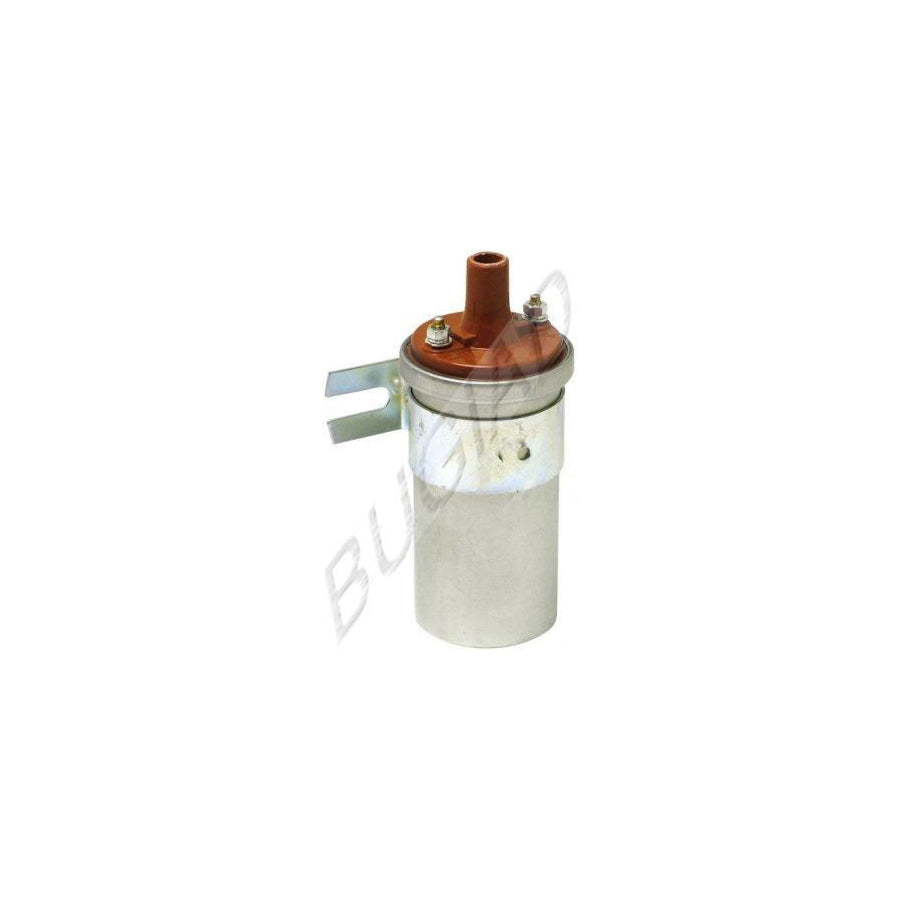 BUGIAD Bsp21753 Ignition Coil